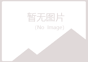 鹤岗兴山幻莲美容有限公司